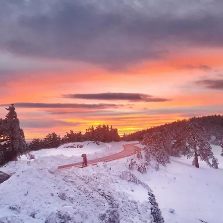 Divcibarski Vajati *