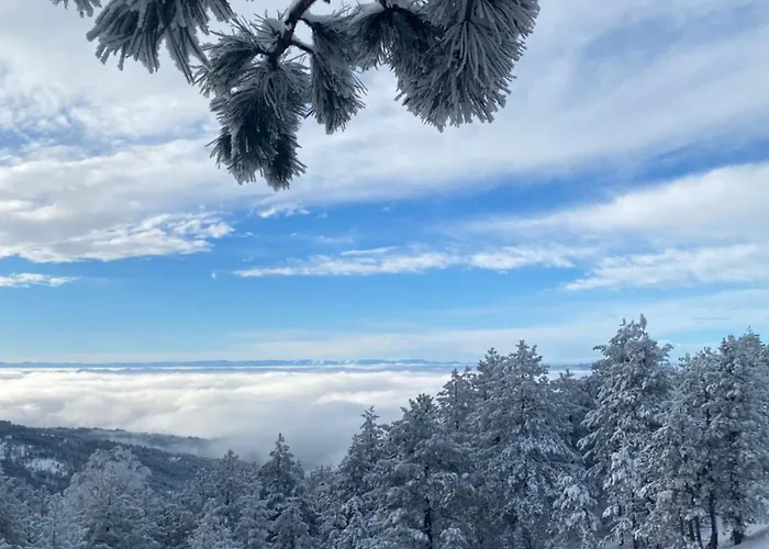 Apartment Divcibarski Vajati Divčibare